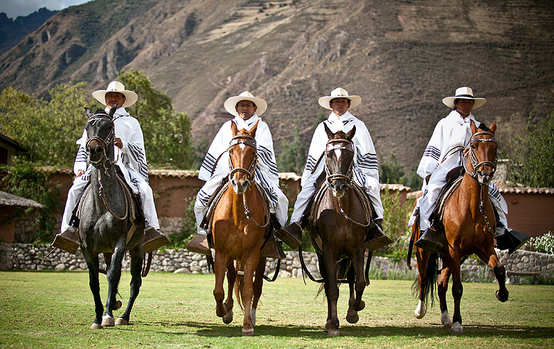 Caballos de Paso Peruanos
