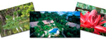 Tour Amazonas de Lujo (3 das / 2 noches)