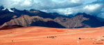 Tour Sur del Per (8 Das / 7 Noches) 