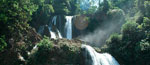 Tour Selva Central Fabulosa (3 das / 2 noches)