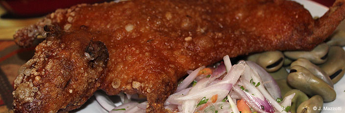 Gastronomy of Arequipa