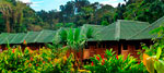 Tour Selva Jungle (2 Days / 1 Night)