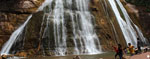 Tour Selva Central Mgica (3 das / 2 noches) 