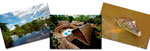 Tour Iquitos y Ro Amazonas (4 das / 3 noches)