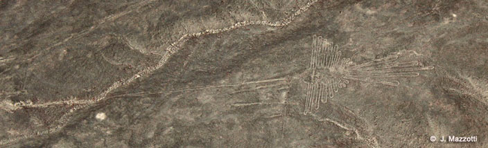 Tour Paracas + Lineas de Nazca + Lineas de Palpa Full Day