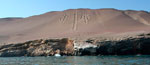 Tour Paracas Bsico (2 Das / 1 Noche)