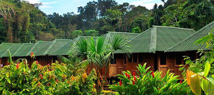 Eco Amazonia Lodge