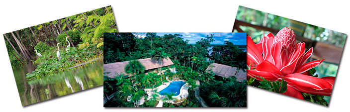 Tour Ceiba Tops de Lujo 3 dias