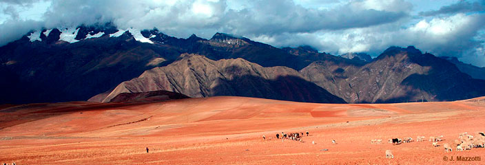Tour Sur del Per (8 das / 7 noches)