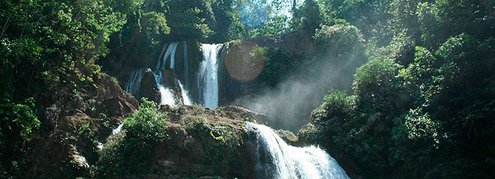 Tour Selva Central Fabulosa (3 das / 2 noches)
