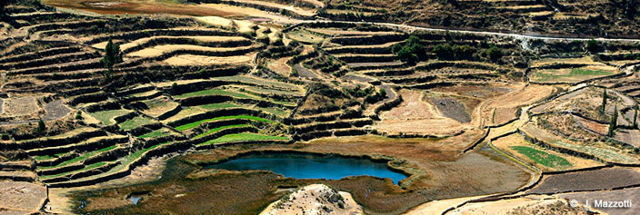 Tour Arequipa y Valle del Colca 4 das