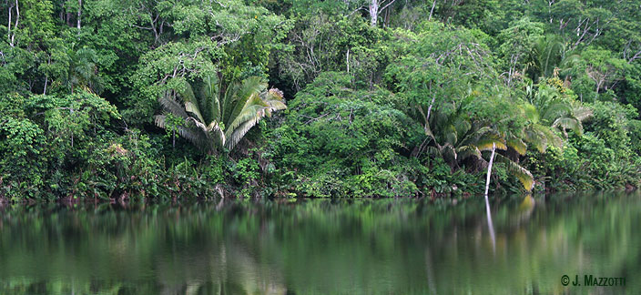Tour Puerto Palmeras y Lago Lindo (4 das / 3 noches)