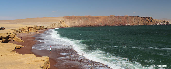 Tour Paracas e Ica Todo Aventura en el desierto Full Day
