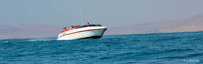 Tour Paracas y Aventura en Ica (2 das)