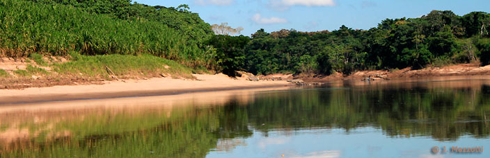 Tour Refugio Amazonas 3 das / 2 noches)