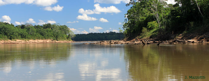 Tour Refugio Amazonas (3 das / 2 noches)