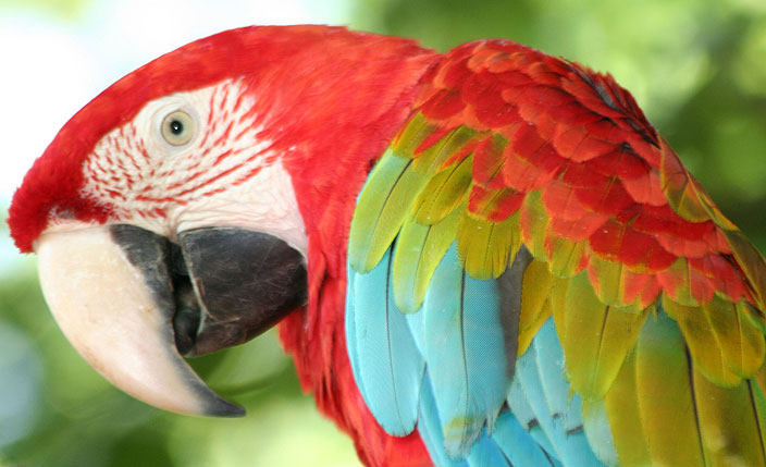 Gua de Viajes de Tarapoto