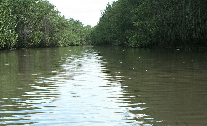 Santuario Nacional Los Manglares de Tumbes