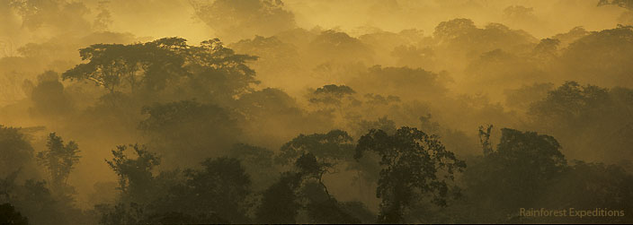 Protected Natural Areas in Madre de Dios