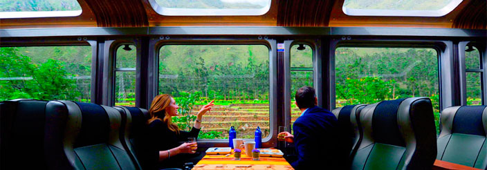 Train Vistadome