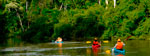 Rainforest Adventure Road Trip and Macaw Clay Lick (3 days)