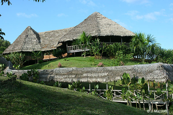 Pacaya Samiria Amazon Lodge
