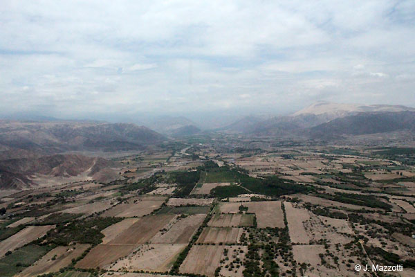 Valle de Nazca y Cerro Blanco