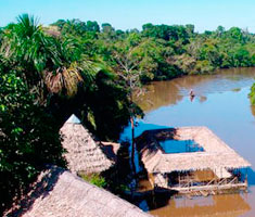 Tour Tropical y Mágica Selva desde Iquitos (3 días / 2 noches)