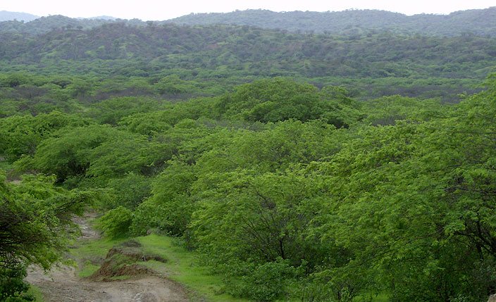 áreas Naturales protegidas de Tumbes y Piura